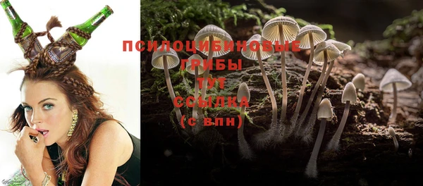 тгк Абинск
